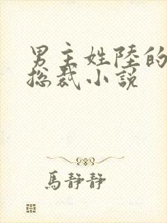 男主姓陆的所有总裁小说