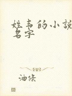 姓韦的小说女主名字