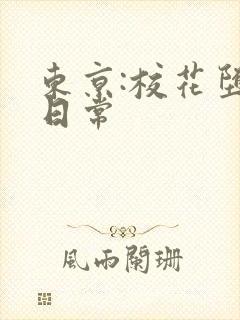 东京:校花堕落日常