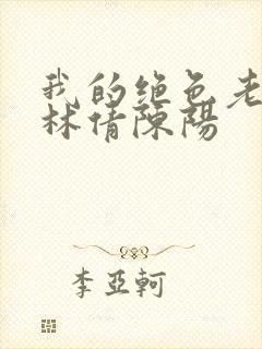 我的绝色老板娘林倩陈阳封面