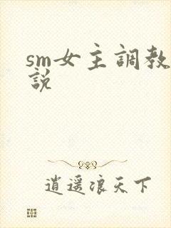sm女主调教小说封面