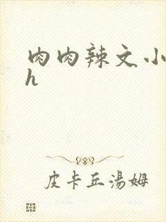 肉肉辣文小说高h