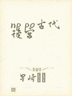 np po古代后宫