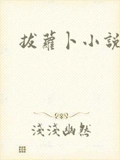 拔萝卜小说封面