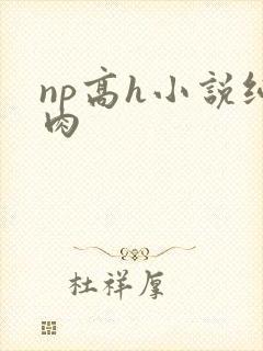 np高h小说纯肉
