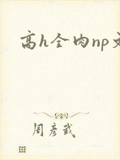 高h全肉np文