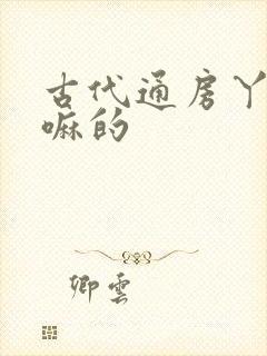 古代通房丫鬟干嘛的封面