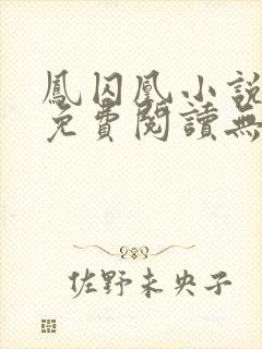 凤囚凰小说全文免费阅读无弹窗