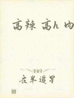 高辣 高h 肉