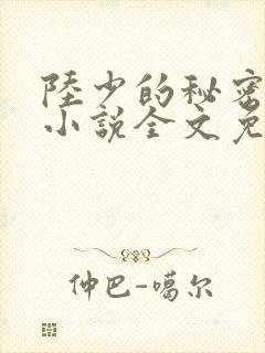 陆少的秘密恋人小说全文免费阅读