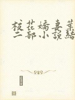 校花娇妻叶子第二部小说结局