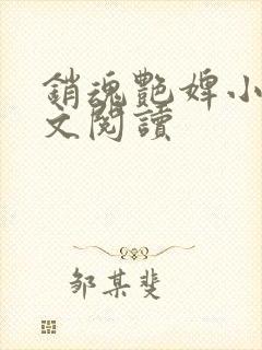 销魂艳婢小说全文阅读