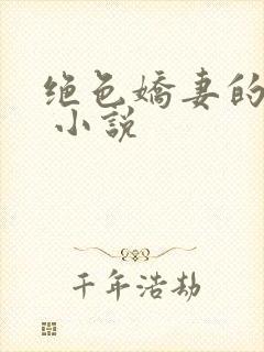 绝色娇妻的秘密 小说