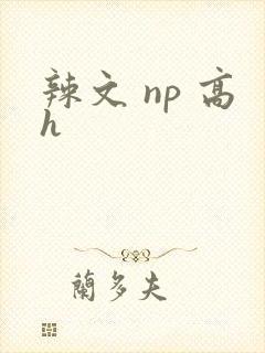 辣文 np 高h封面