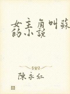 女主角叫苏小晴的小说