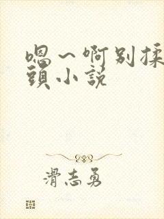 嗯～啊别揉我奶头小说