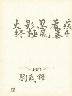 火影忍者疾风传 终极风暴4 博人传