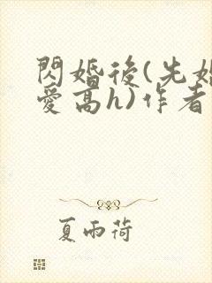 闪婚后(先婚后爱高h)作者没