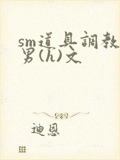 sm道具调教男男(h)文