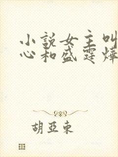 小说女主叫初之心和盛霆烨