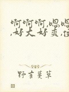 啊啊啊,嗯嗯嗯,好大好爽,使劲