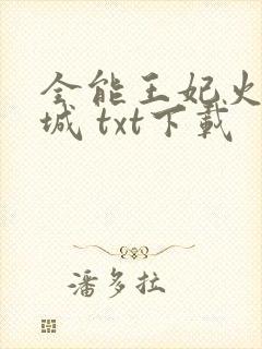 全能王妃火爆京城 txt下载