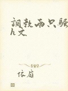 调教两只骚母狗h文