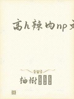 高h辣肉np文