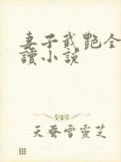 妻子武艳全文阅读小说