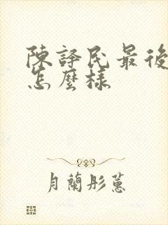 陈译民最后结局怎么样