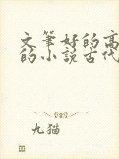 文笔好的高质量的小说古代言情