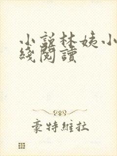 小说林姨小浩在线阅读