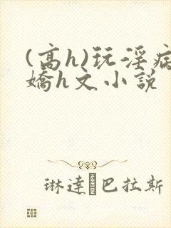 (高h)玩淫病娇h文小说封面