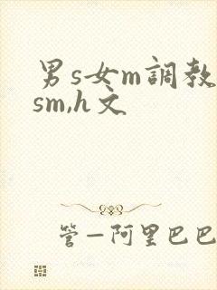 男s女m调教(sm,h文封面