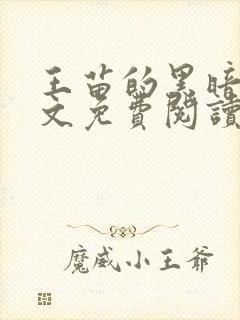 王苗的黑暗欲全文免费阅读