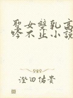 圣女双乳高耸呻吟不止小说