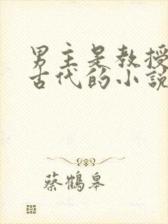 男主是教授穿越古代的小说封面