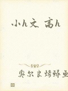小h文 高h
