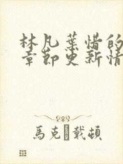 林凡叶惜的最新章节更新情况封面