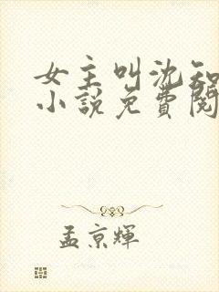 女主叫沈知薇的小说免费阅读