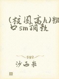 (校园高h)粗口sm调教