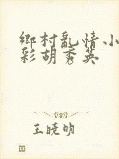 乡村乱情小雷小彩胡秀英封面