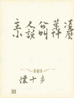 主人公叶凌天的小说叫什么名字封面