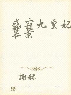 盛宠九皇妃轩辕慕景