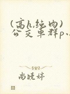 (高h,纯肉)公交车群p小说