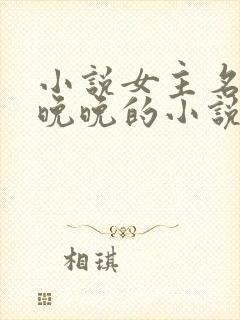 小说女主名叫林晚晚的小说