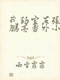 我的室友张健石鹏亮番外小说