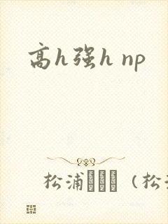 高h强h np