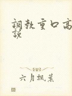 调教重口高h小说