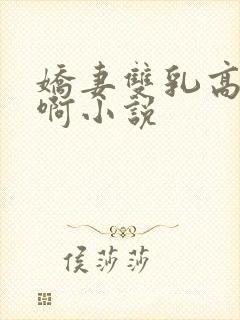 娇妻双乳高耸嗯啊小说封面